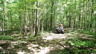 Fucking Muscle Bears