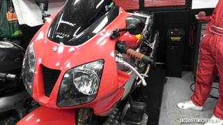 JacquieEtMichelTV Auora Very Nice Surprise FRENCH