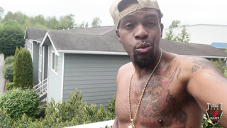 RomeMajor Kinky Wild