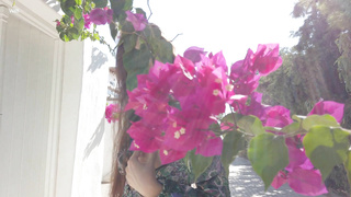 WatchBeauty Alissa Foxy Double Happiness