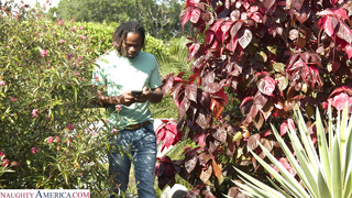 MySistersHotFriend Lexi Grey INTERNAL