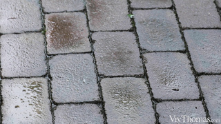 VivThomas Kylie Green And Kate Quinn Wetter Inside