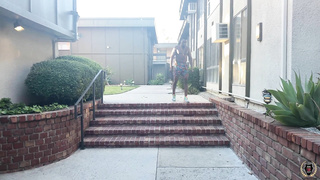 RomeMajor Layla Quinn