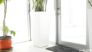 NetVideoGirls Odette