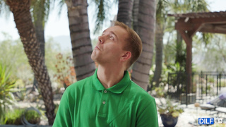 Dilfed Summer Col Hot Dickity Dog