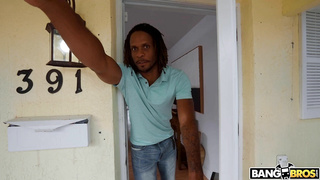 BrownBunnies Skyla Sun