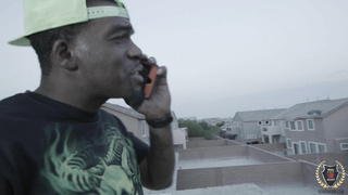 RomeMajor Harmony Rose