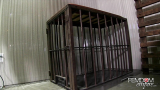 FemdomEmpire Sissy Butt Slut SNiCKERS