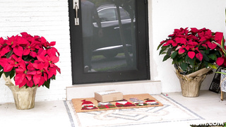 AnalMom Lilly James Her Anal Problem