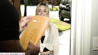 AmericanDaydreams Sage Pillar