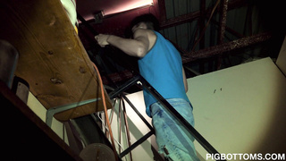 PigBottoms Be Careful What You Stream For