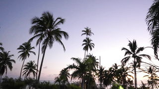 Hegre Ruby Dominican Goddess