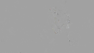 Tiny4K.23.06.22.Molly.Little.Petite.Painter.XXX.1080p.HEVC.x265.PRT