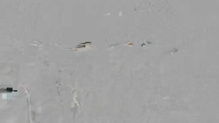 AnalVids.21.08.28.Candie.Luciani.Full.Anal.Destruction.Of.A.Small.19.Year.Old.French.College.Girl.LVT006.XXX.720p.HEVC.x265.PRT