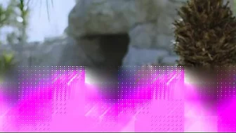 Rachael Cavalli's Videos