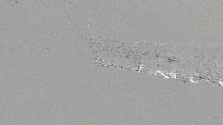 MyDirtyHobby Daynia Bikeride And Blowjob