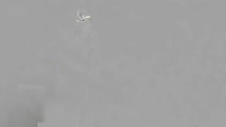 EvolvedFightsLez Nadia White Vs Daisie Belle