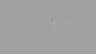 WildOnCam Sedona Reign Hardcore