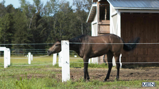 Men Even Cowboys Get Blue Balls Part 2 - Austin Wolf, Tim James