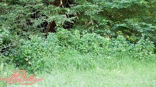 XevUnleashed Outdoor Blowjob For Water