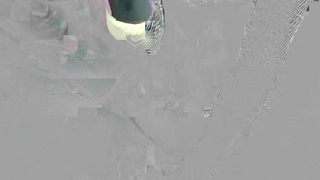 BenefitMonkey Venom Evil And Liz Rainbow