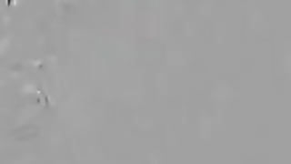 WildOnCam Naomi Ryder Solo