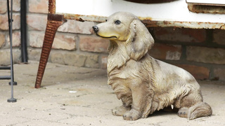 MetArt Betzz Rustic Beauty