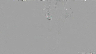 WildOnCam Venus Vixen Solo